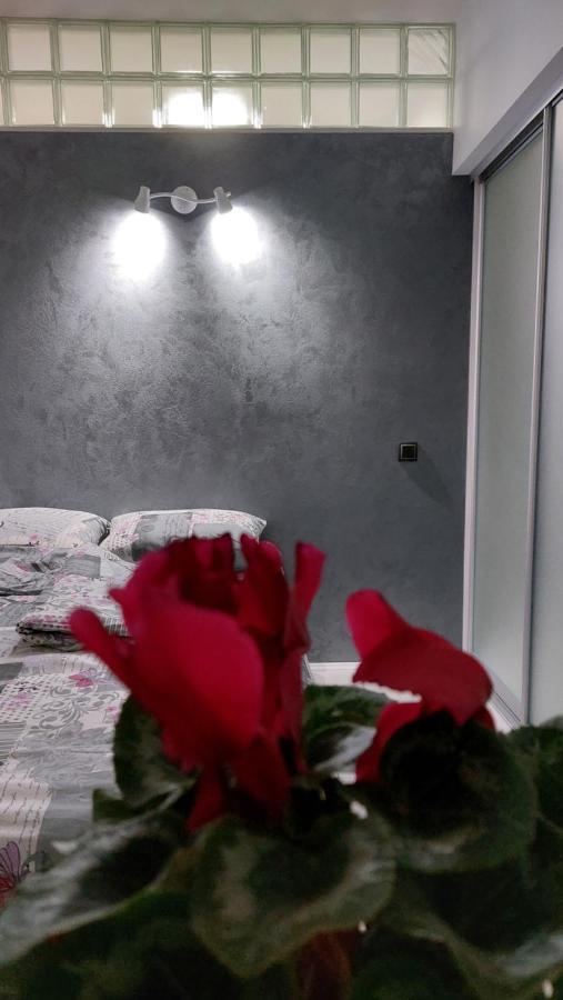 Apartman 23 เบลเกรด ภายนอก รูปภาพ